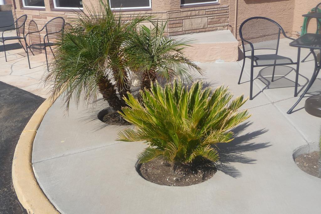 Palms Inn Gila Bend Zewnętrze zdjęcie